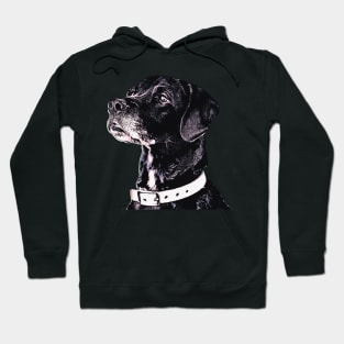 Black Labrador Retriever Art Hoodie